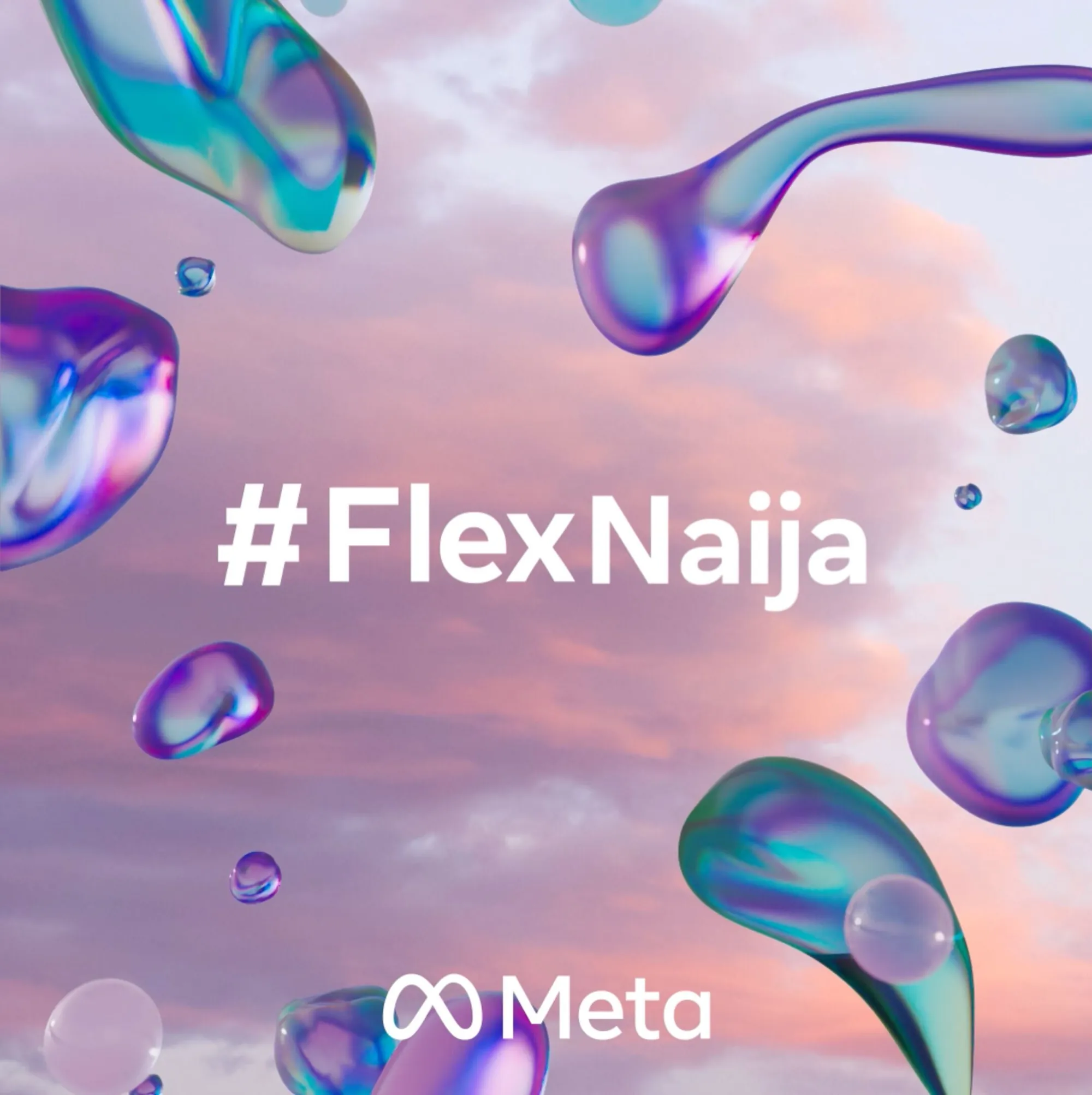 Flex Naija, 15 of 17